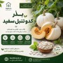 بذر کدو تنبل سفید