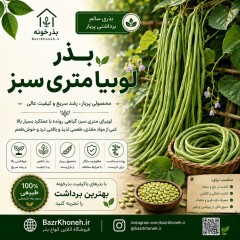 بذرلوبیا متری سبز