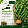 بذر فلفل بیکیونهو