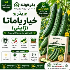 بذر خیار یاماتا ژاپنی