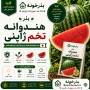 بذر هنداونه تخم ژاپنی