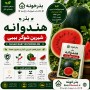بذر هندوانه  شیرین شوگر بیبی