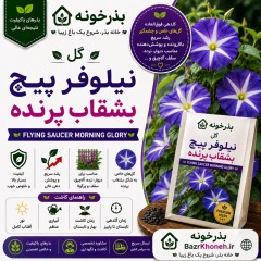 گل نیلوفر پیچ بشقاب پرنده