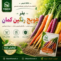 بذر کمیاب هویج رنگین کمان